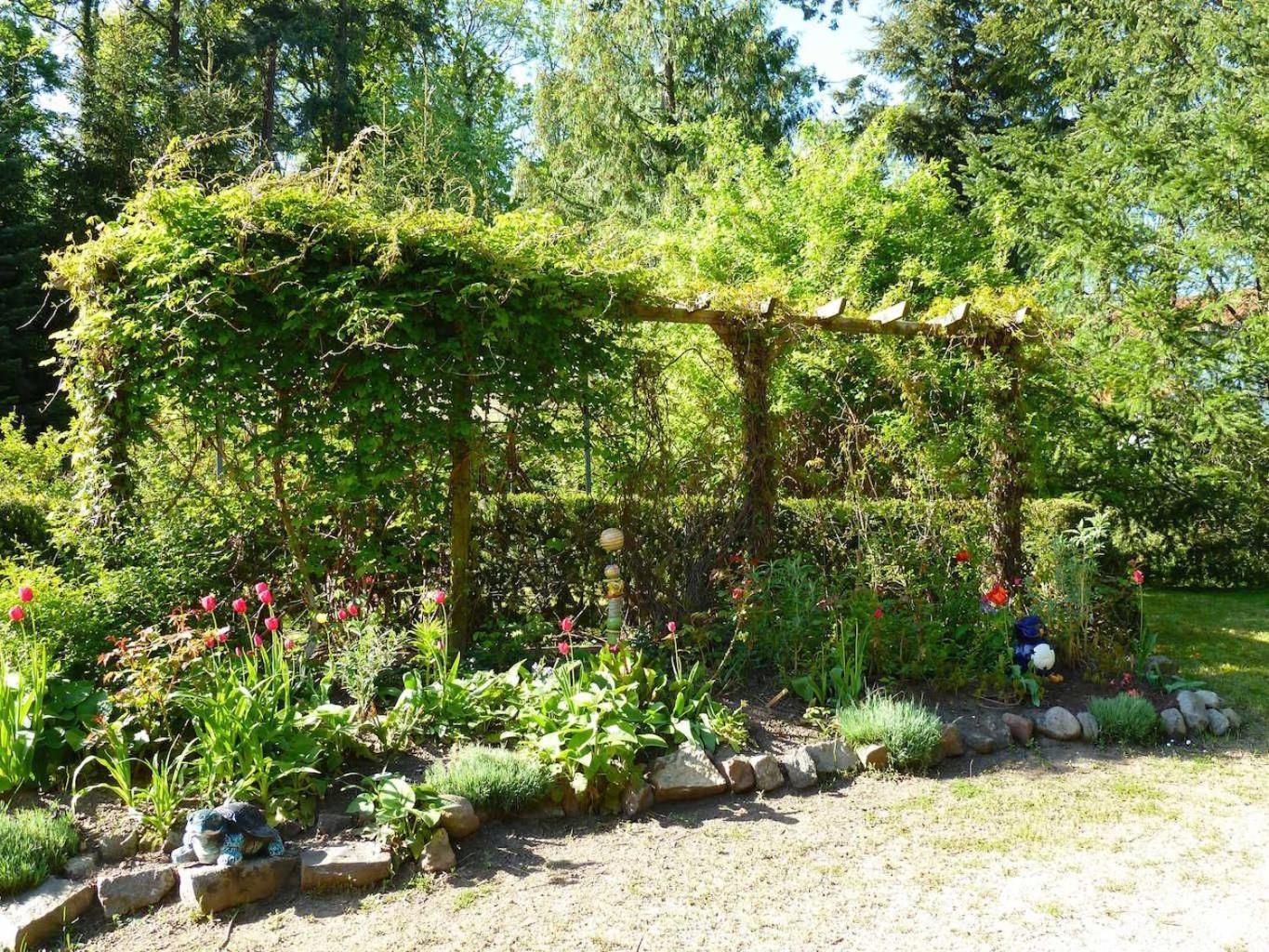 Ferienwohnung Villa Am Haussee Feldberger Seenlandschaft ภายนอก รูปภาพ
