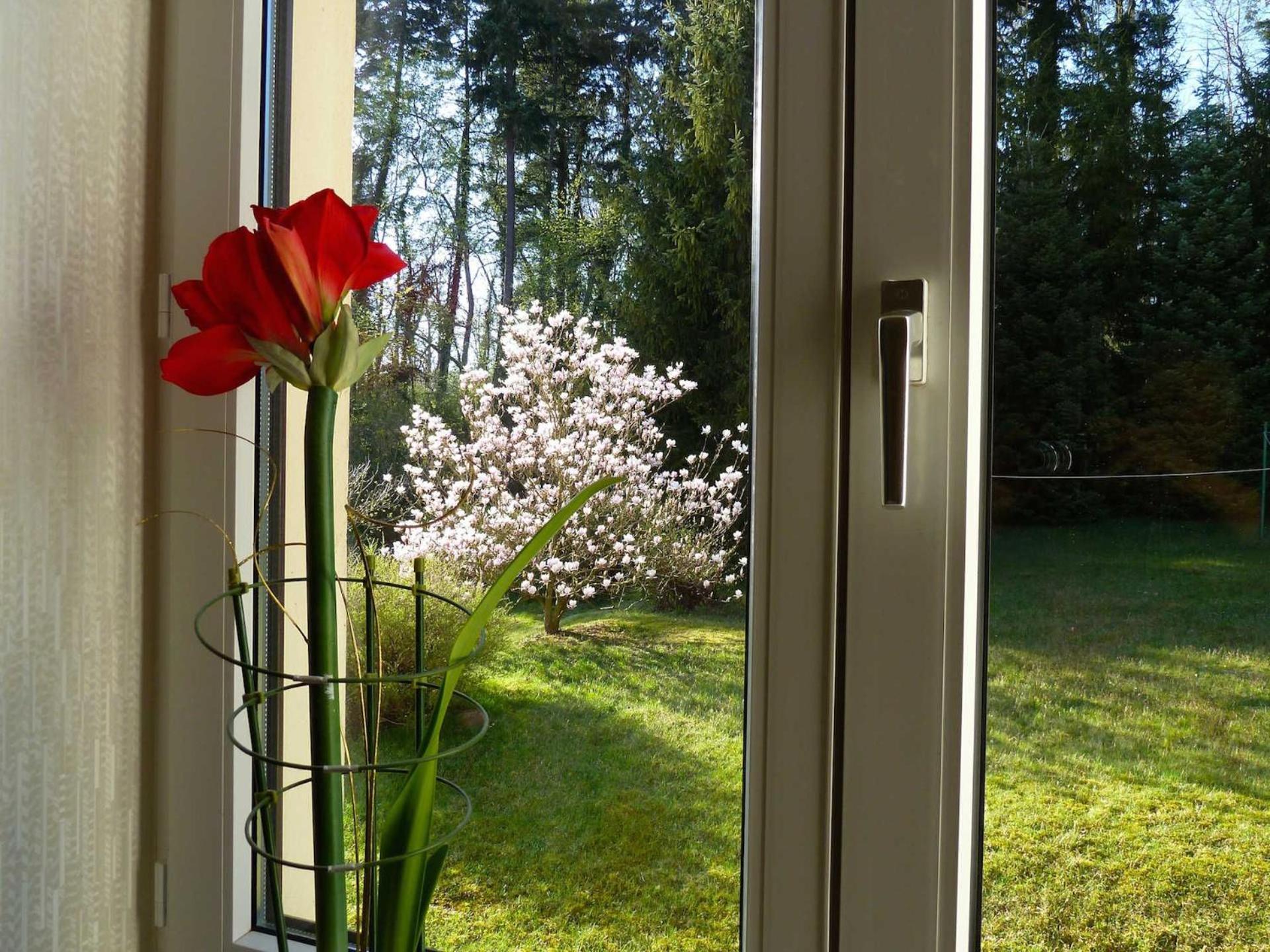 Ferienwohnung Villa Am Haussee Feldberger Seenlandschaft ภายนอก รูปภาพ